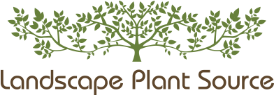 landscape-plant-supply-logo