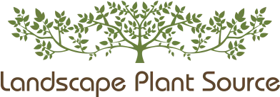 landscape-plant-supply-logo