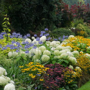 Cottage Garden